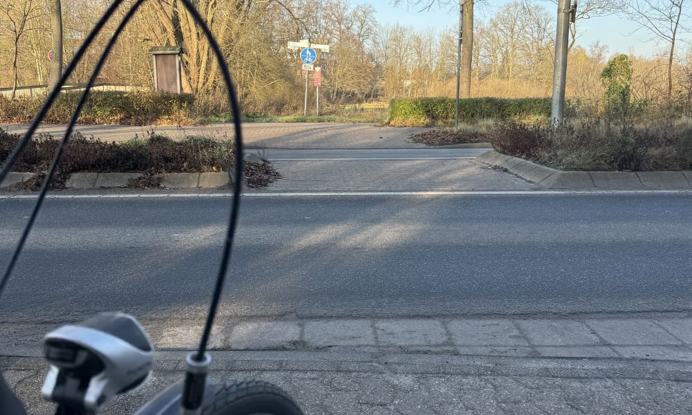 Die Verkehrsinsel an der Aalterallee, Höhe Rathaus, bietet Potenzial für eine einfache Querung.