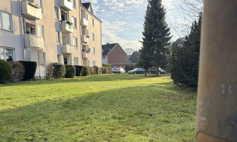 Rasenflächen bleiben vielfach ungenutzt.