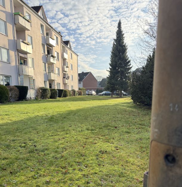 Rasenflächen bleiben vielfach ungenutzt.