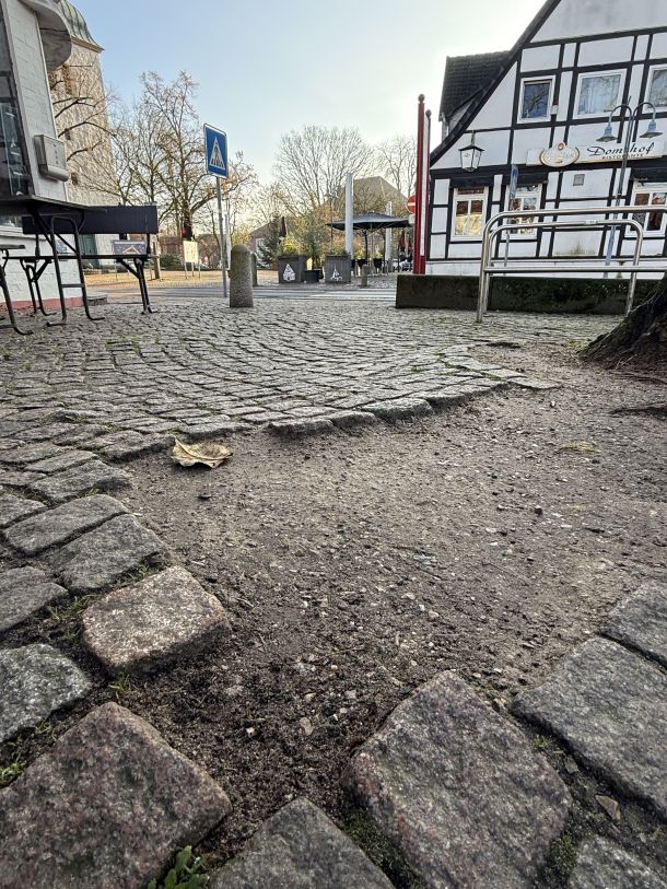Wurzelweg drückt den Gehweg mancherorts hoch.